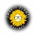 smartyplantsrecipes.com