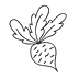 rootsandradishes.com
