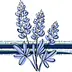bluebonnetbaker.com