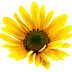 artofnaturalliving.com