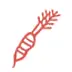 24carrotkitchen.com