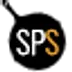 saltpepperskillet.com