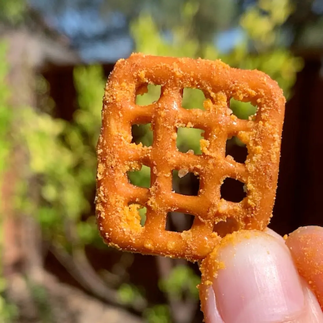 Easy Cheesy Pretzels