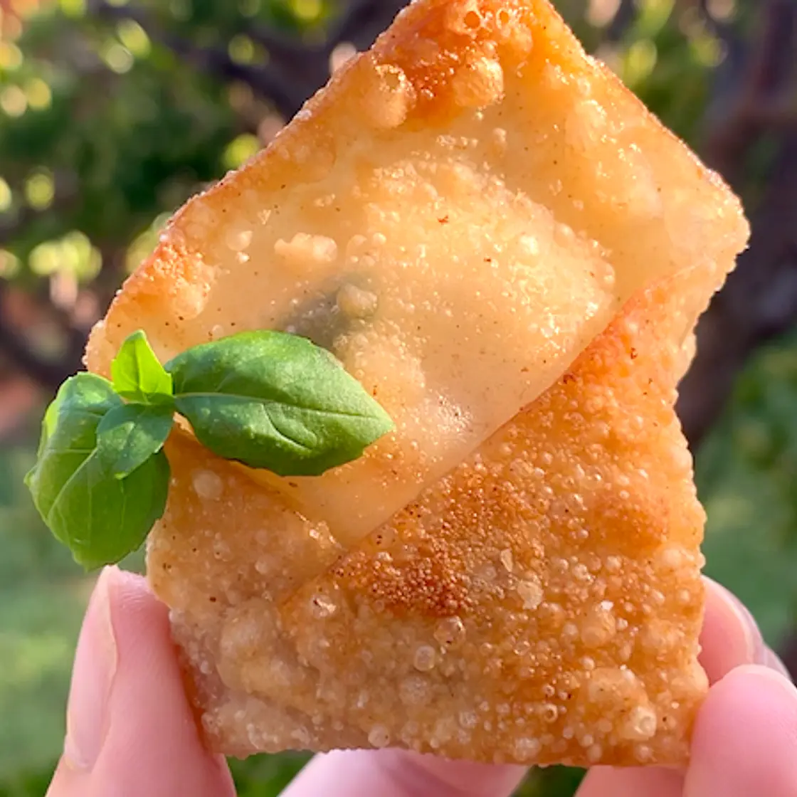 Crispy Wonton Mozzarella Bites