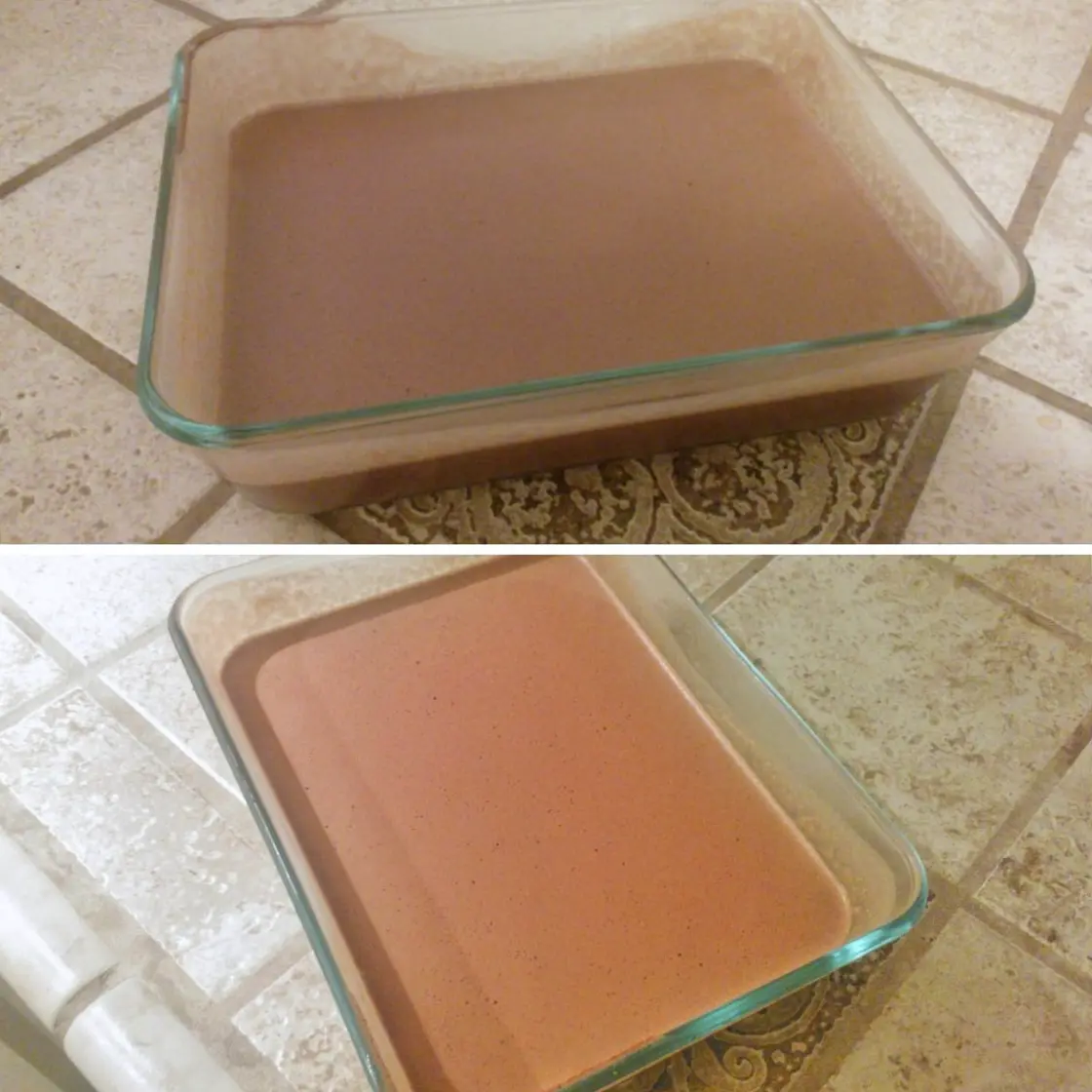 Chocolate Gelatin Bars