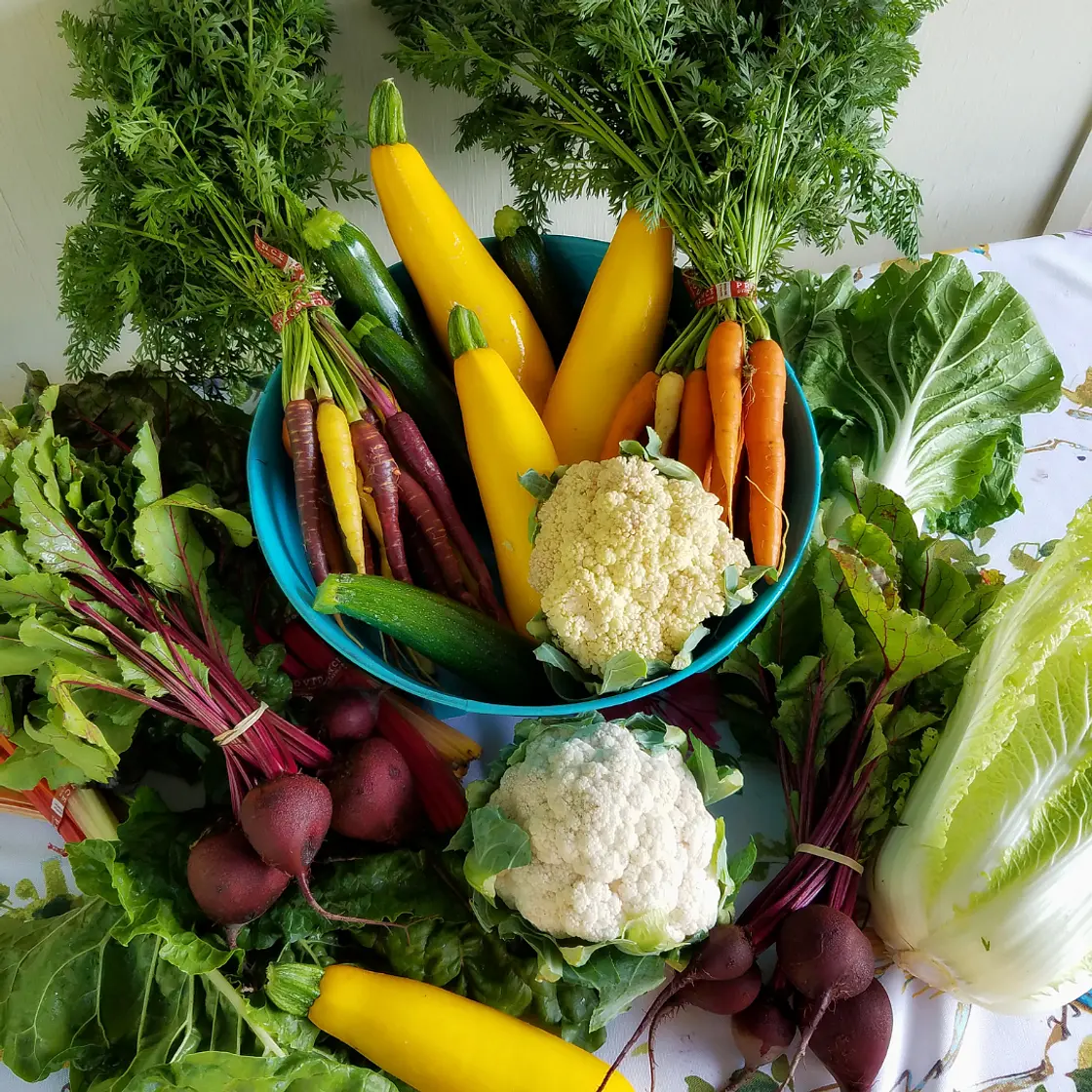 Steamed Vegetables