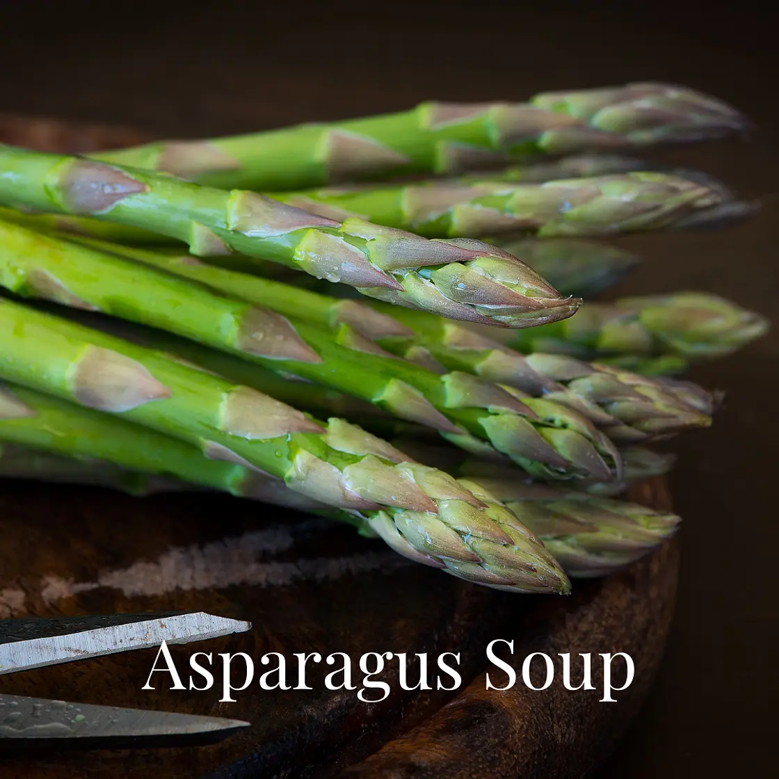Asparagus Soup