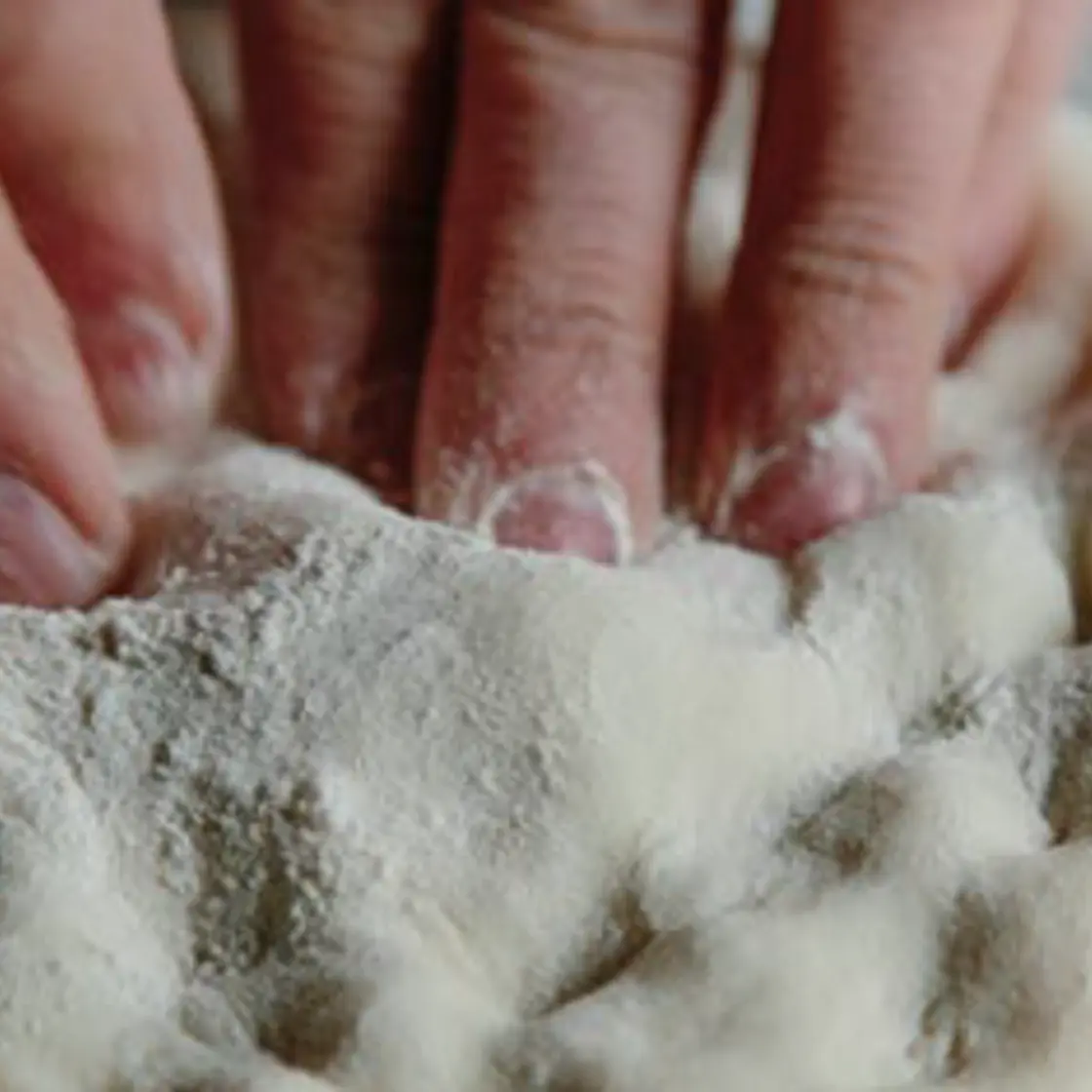 Classic Pizza Dough