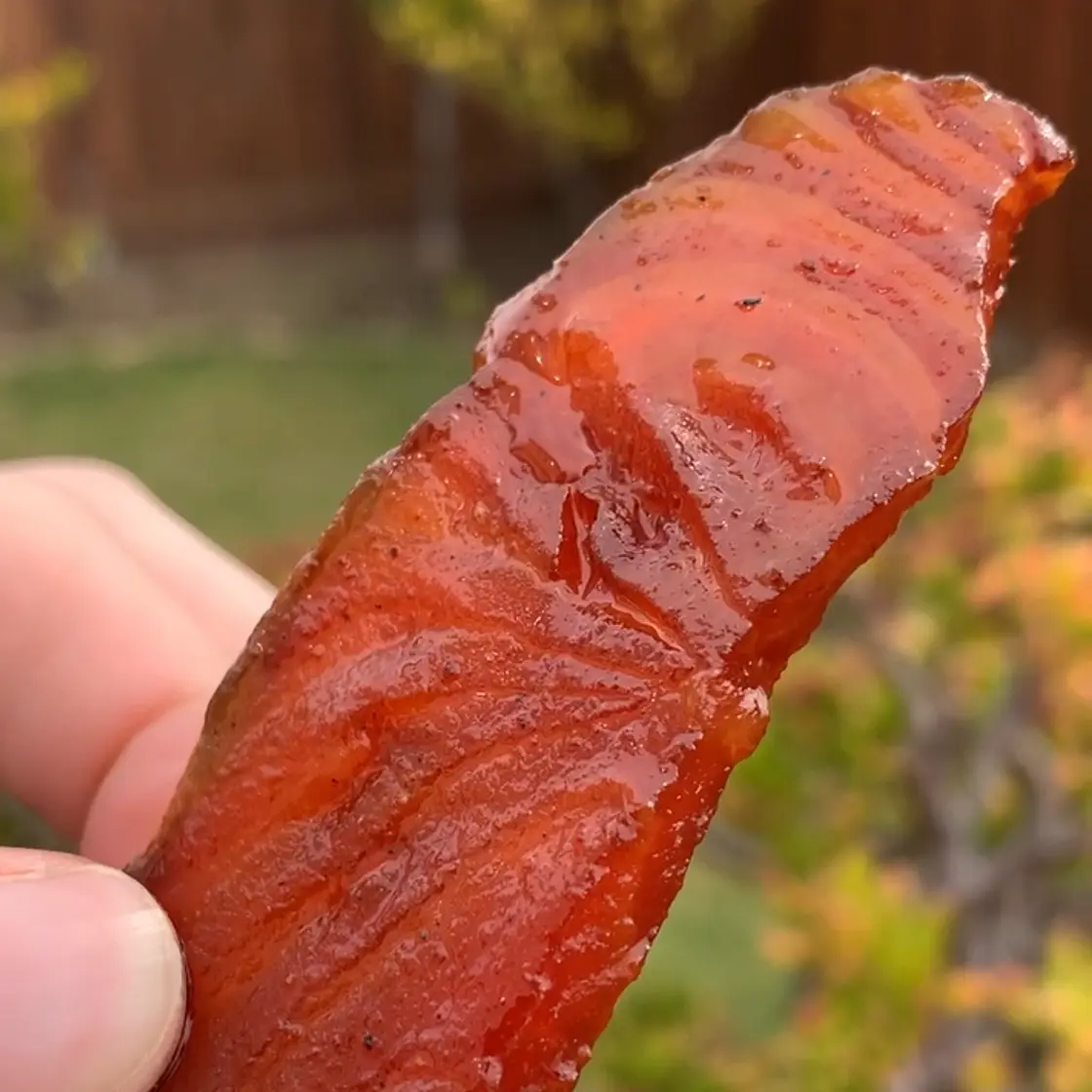 Salmon Jerky