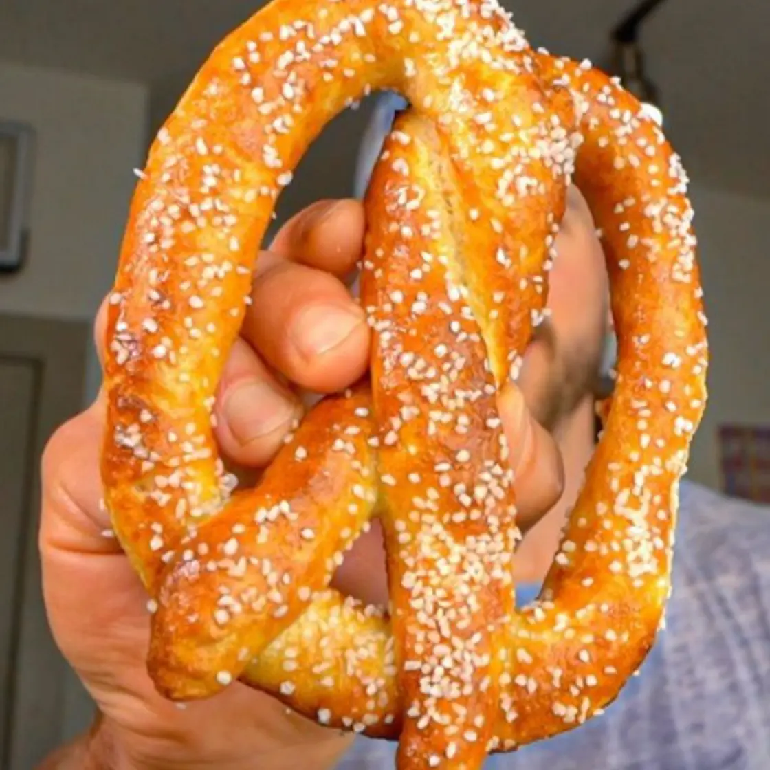 Air Fryer Jumbo Soft Pretzels Recipe - theflexibledietinglifestyle