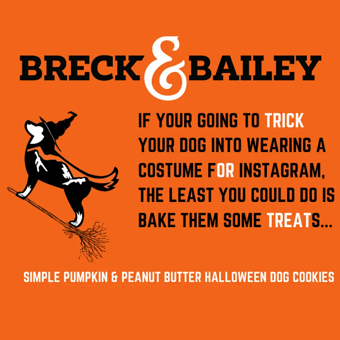 Breck & Bailey's Simple Pumpkin & Peanut Butter Halloween Dog Cookies