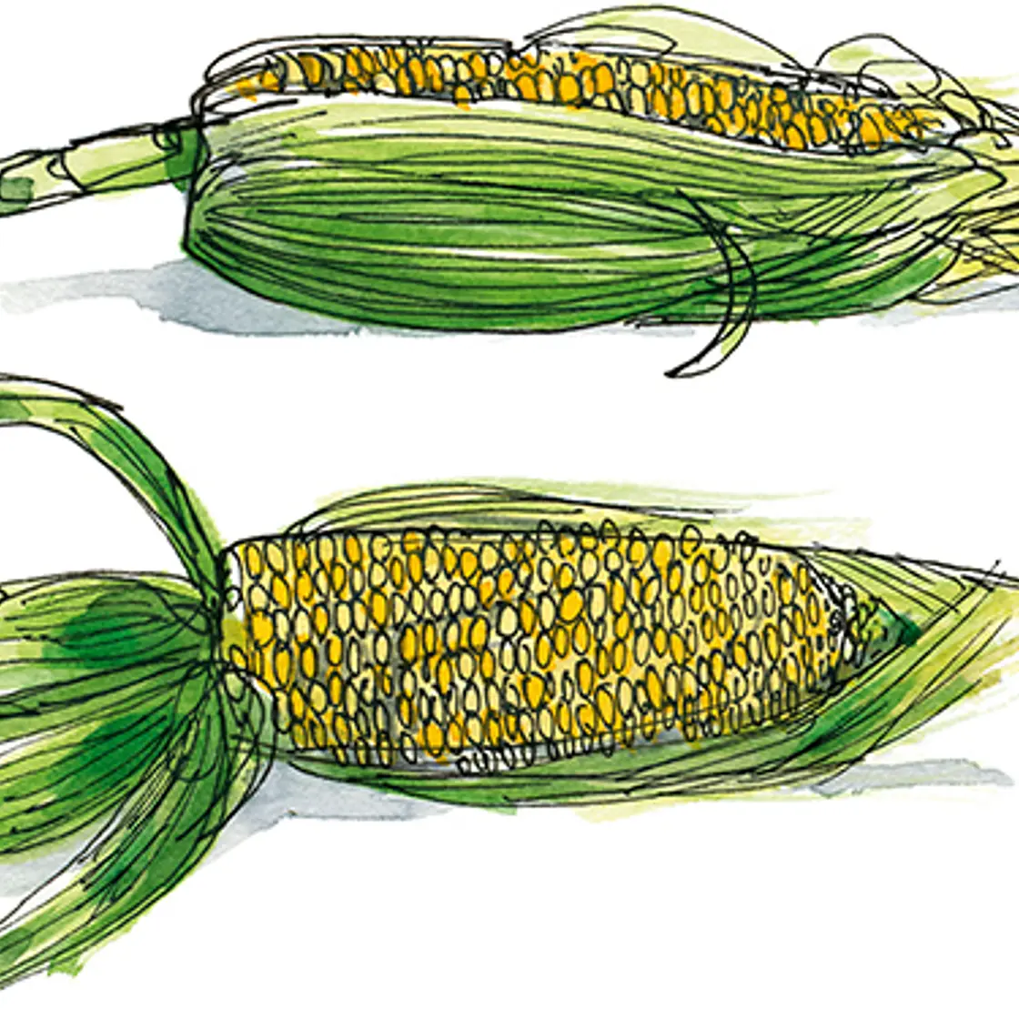 Corn Soup (Silky Sweet)