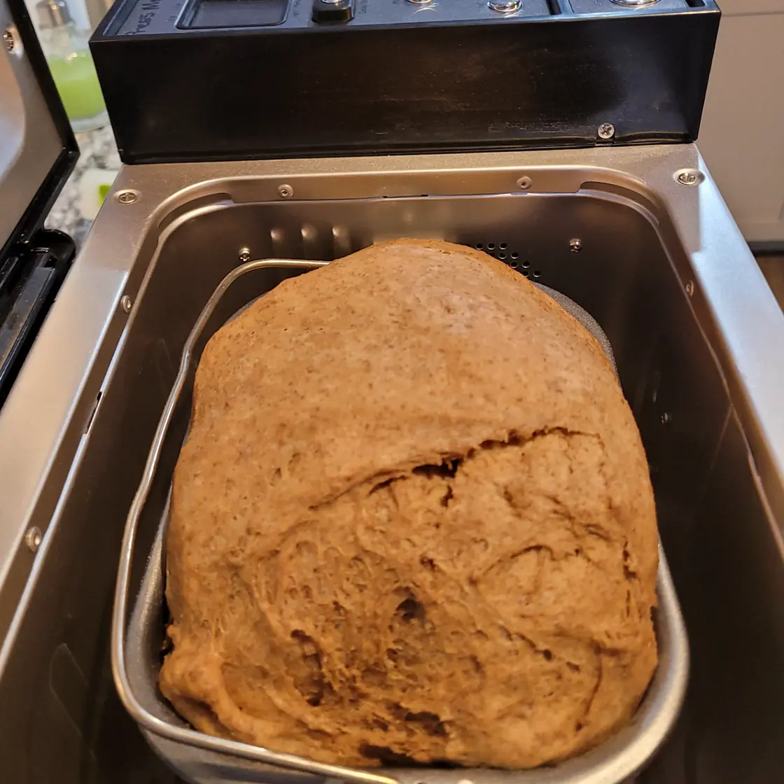 Low carb whole grain bread