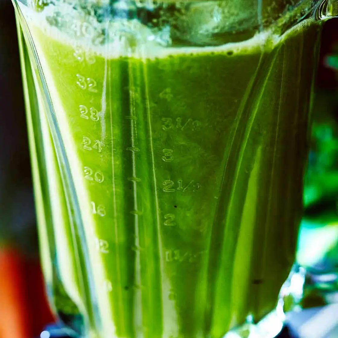 Turtle Shake | PN
