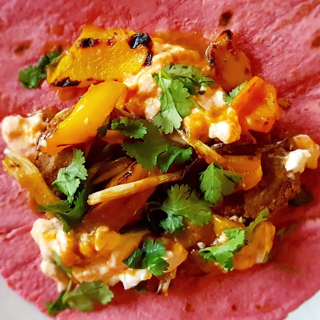 Falafel Wrap with Grilled Veg Salad