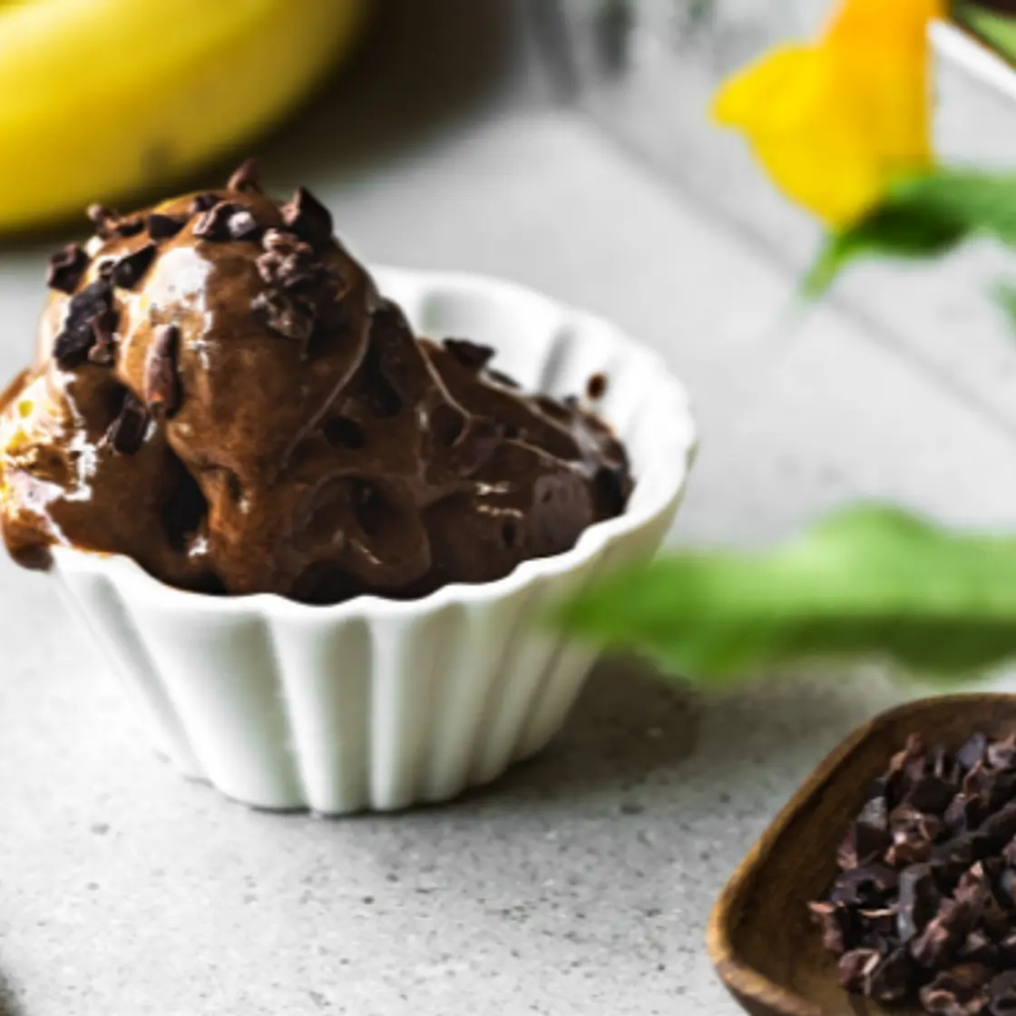 Chocolate Cacao Nib Ice Cream