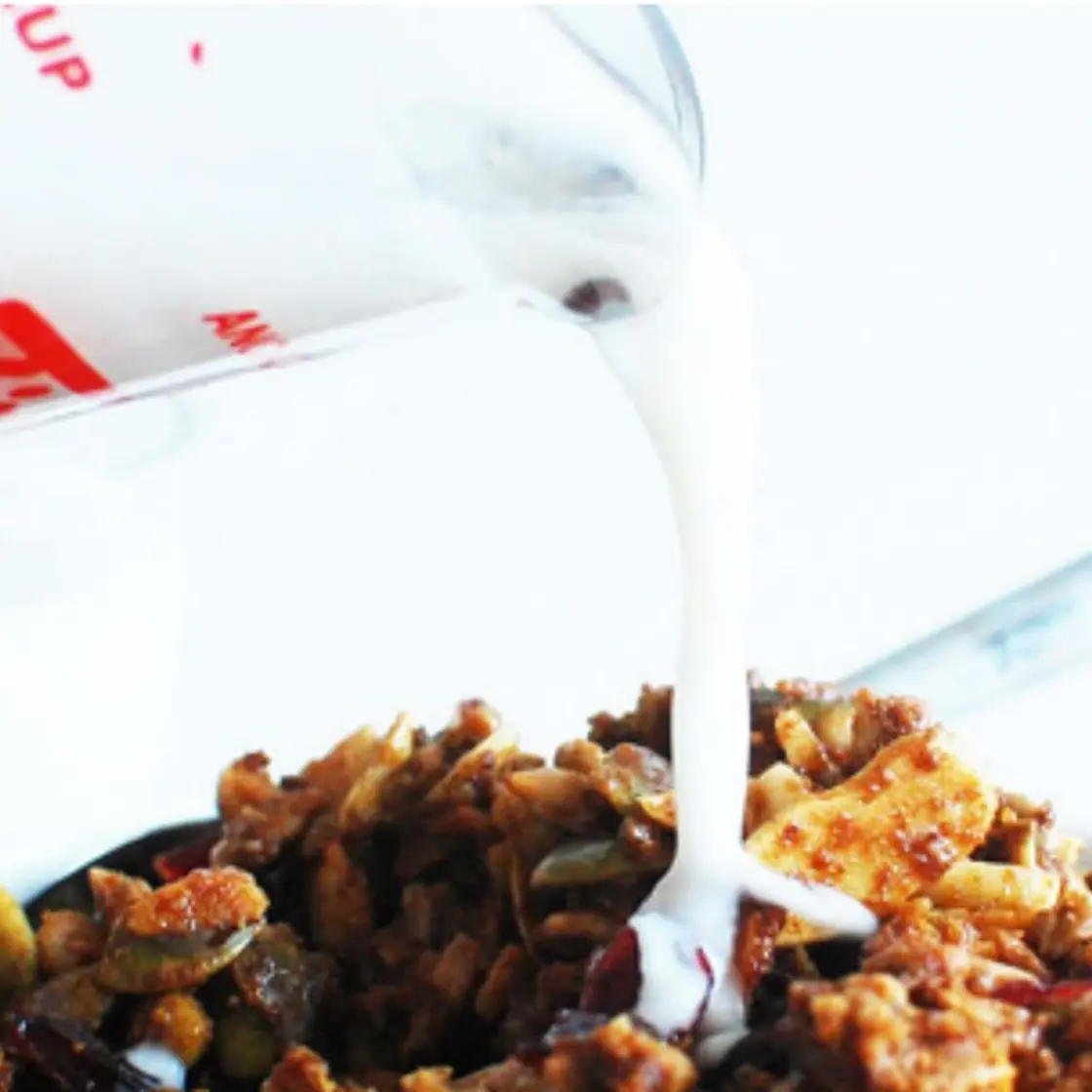 Paleo Granola