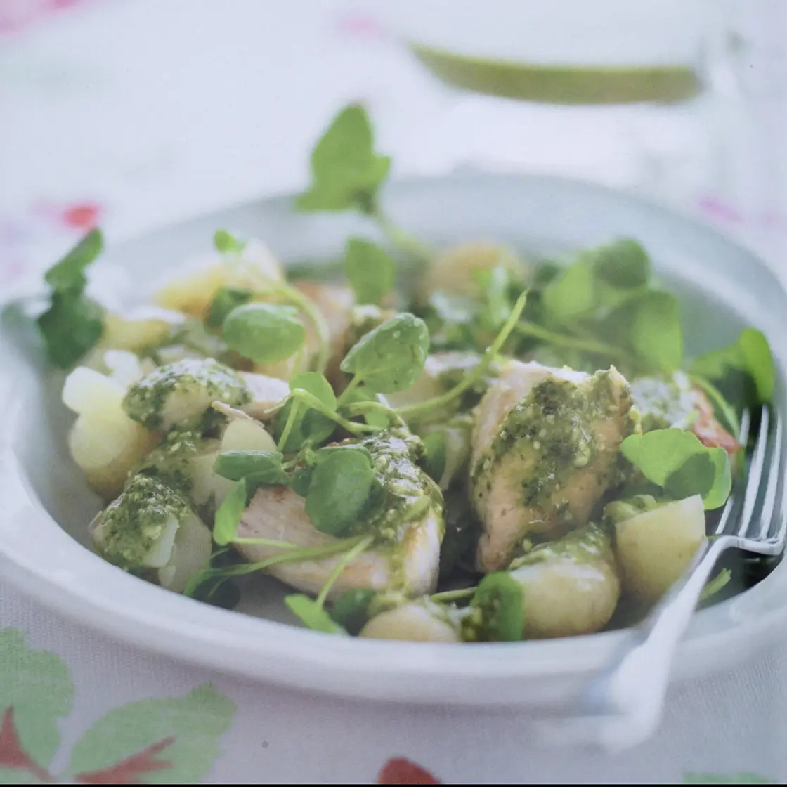 Warm Chicken Pesto Salad