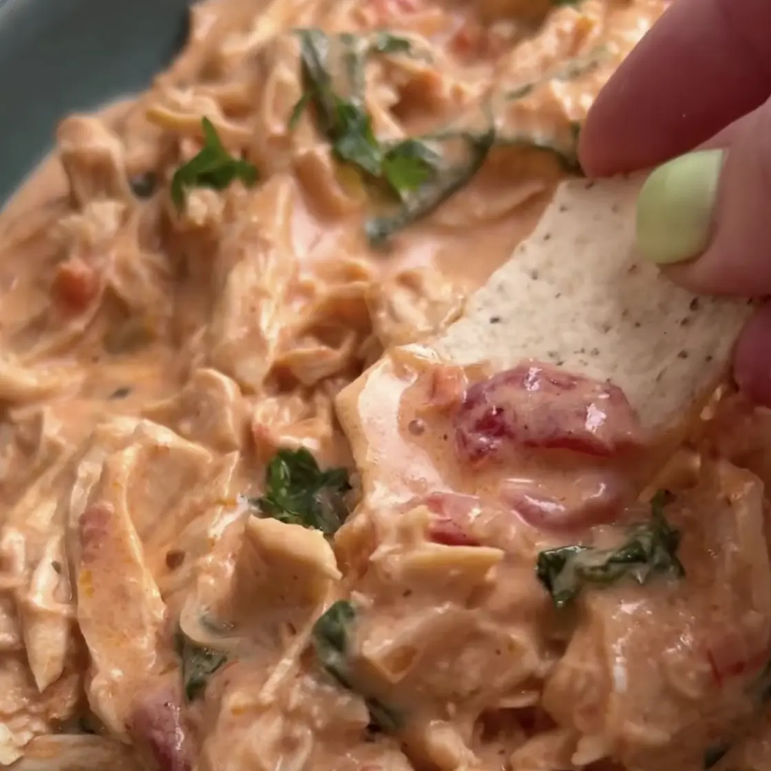 Creamy Salsa Chicken