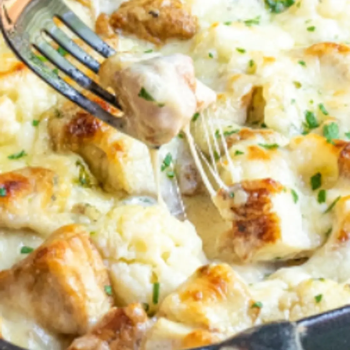 The Chicken Alfredo - Chicken Alfredo Casserole