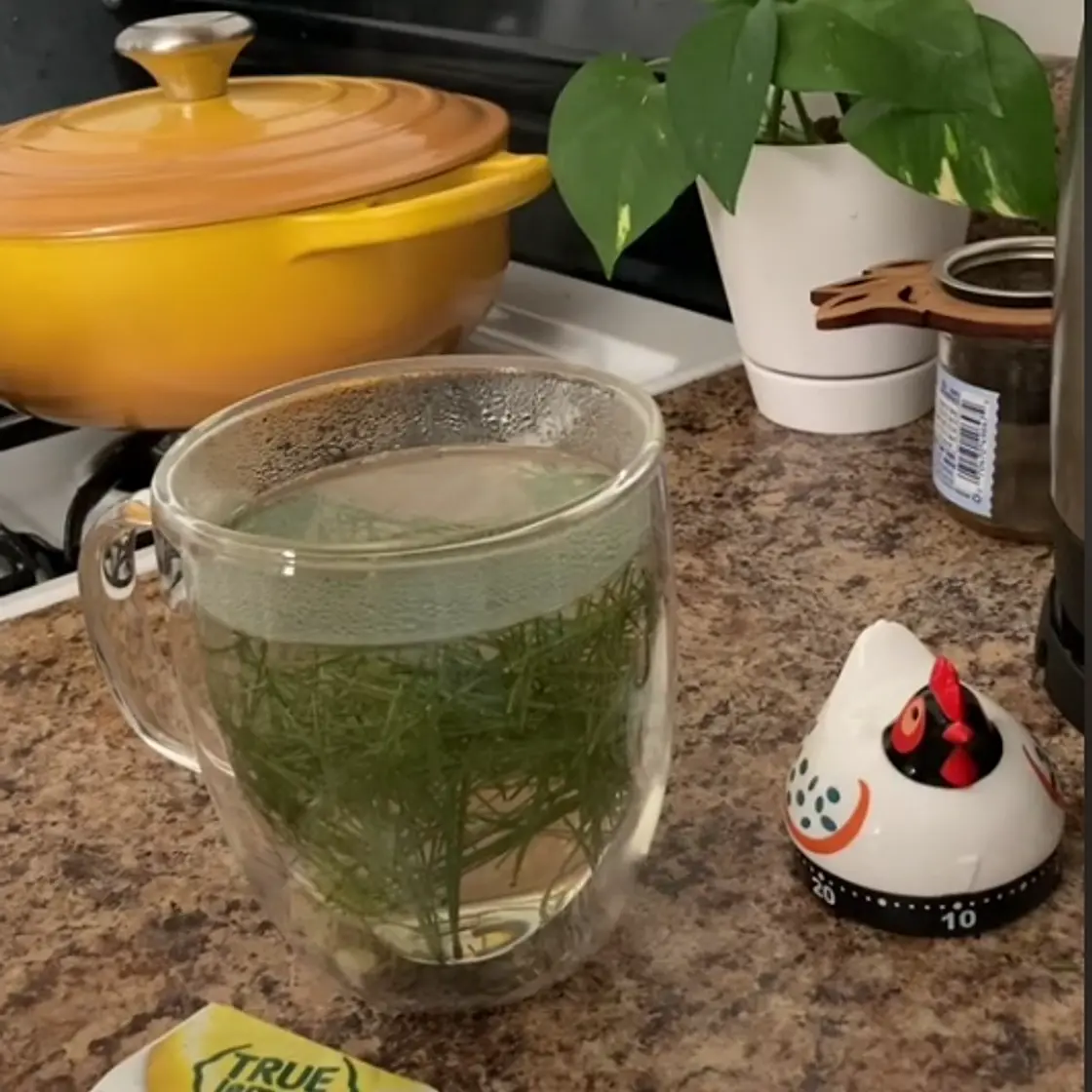 True Lemon Pine Needle Tea