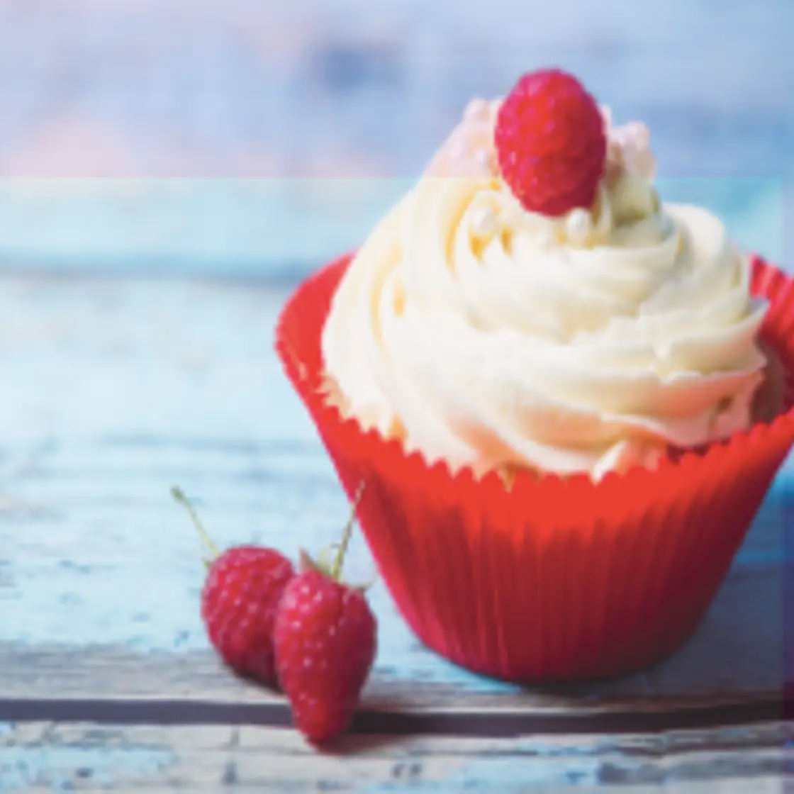 Sugar-FREE Vanilla ZUKR Cupcakes