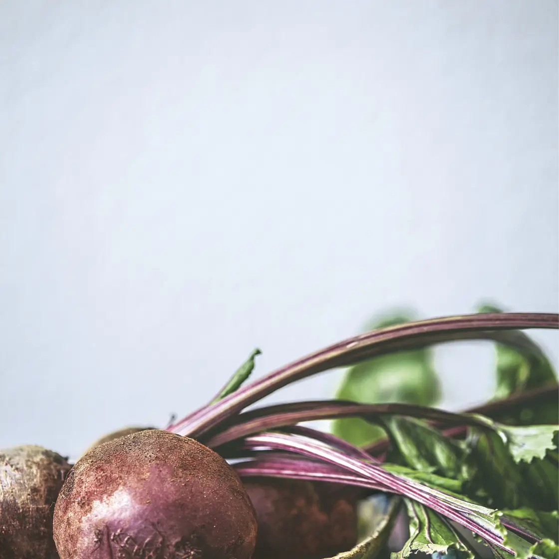 BEETS ÉTOUFFÉE