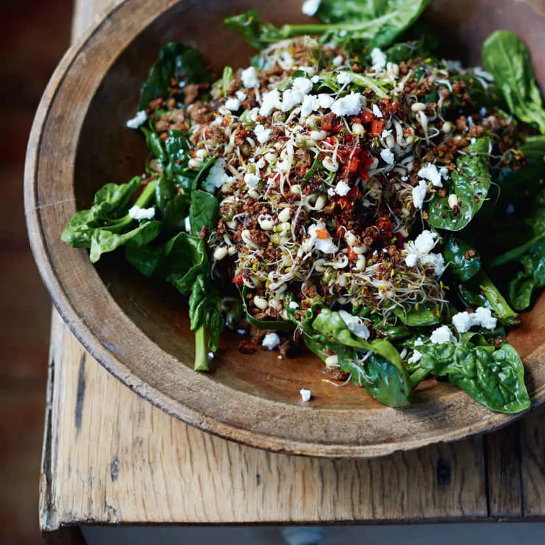 SPROUTING SEED SALAD