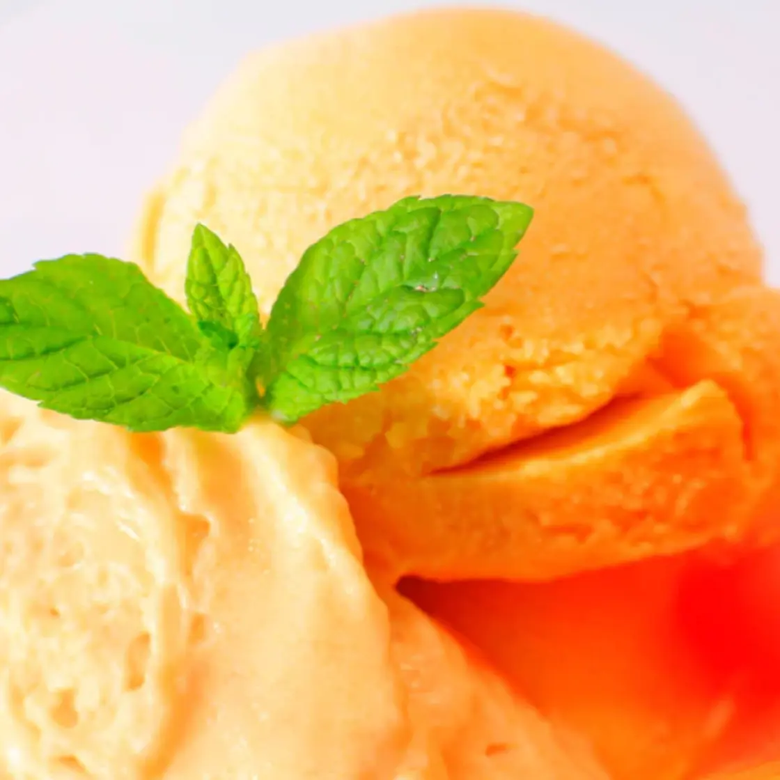 Apricot Sherbet (Mousse a L'Abricot Glacee)