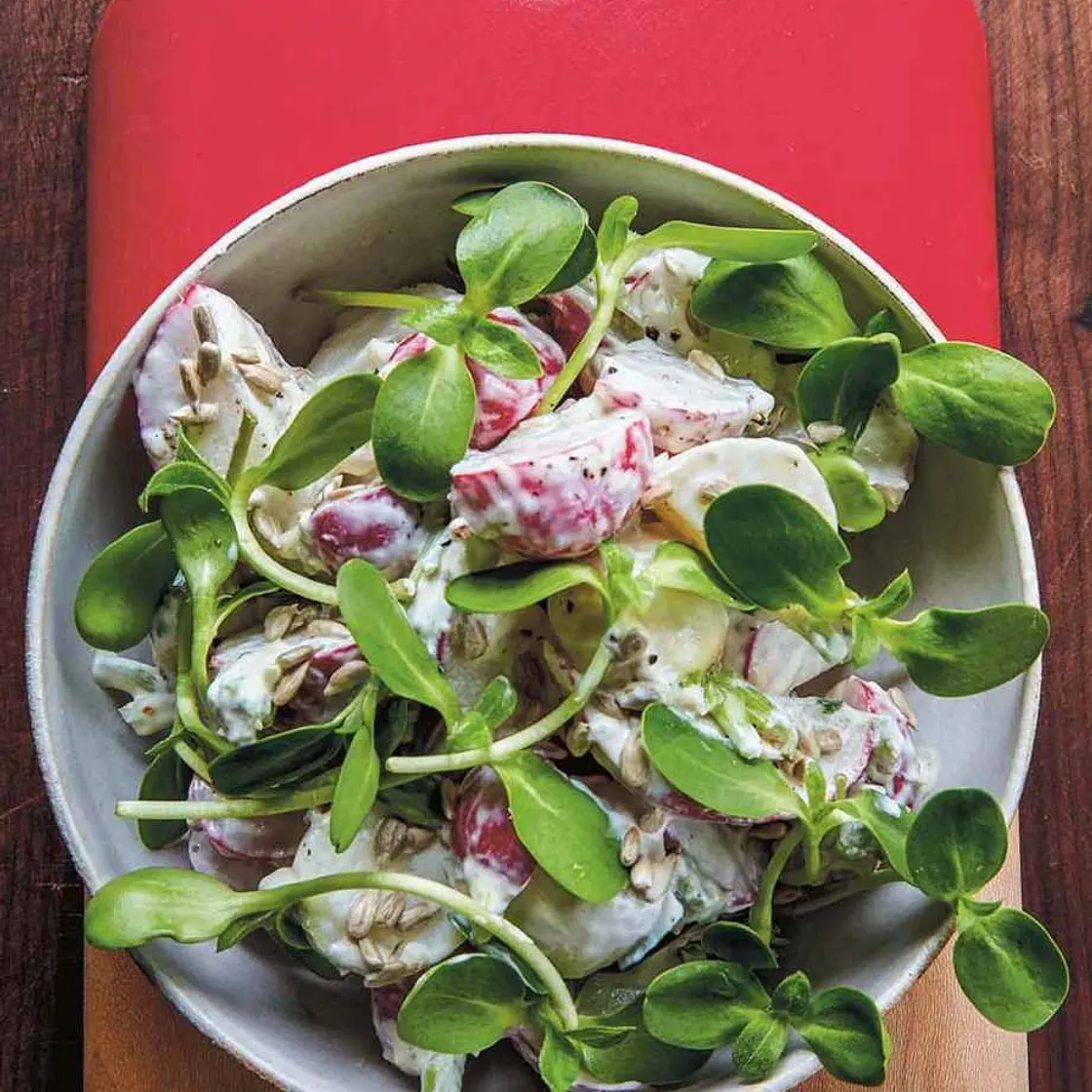 Radishes with Tonnato, Sunflower Seeds, and Lemon