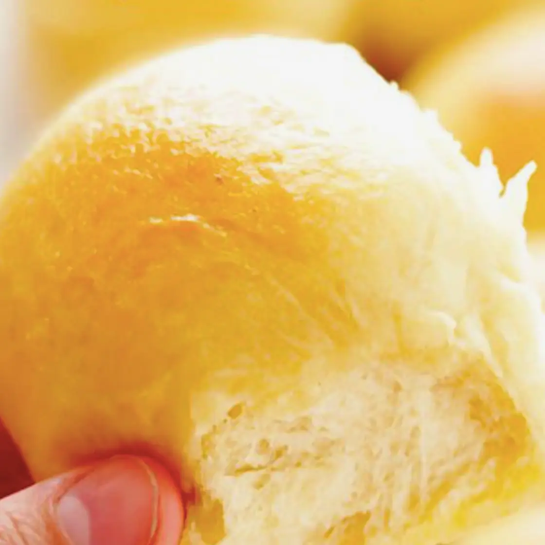 Great-Grandma Halverson's Rolls