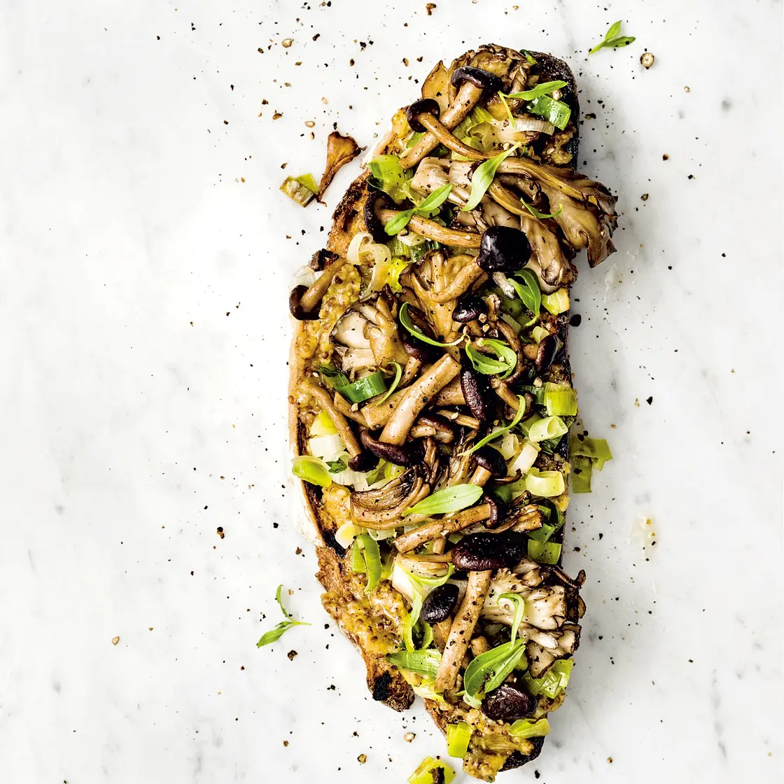 caramelized leek and seared mushroom toast