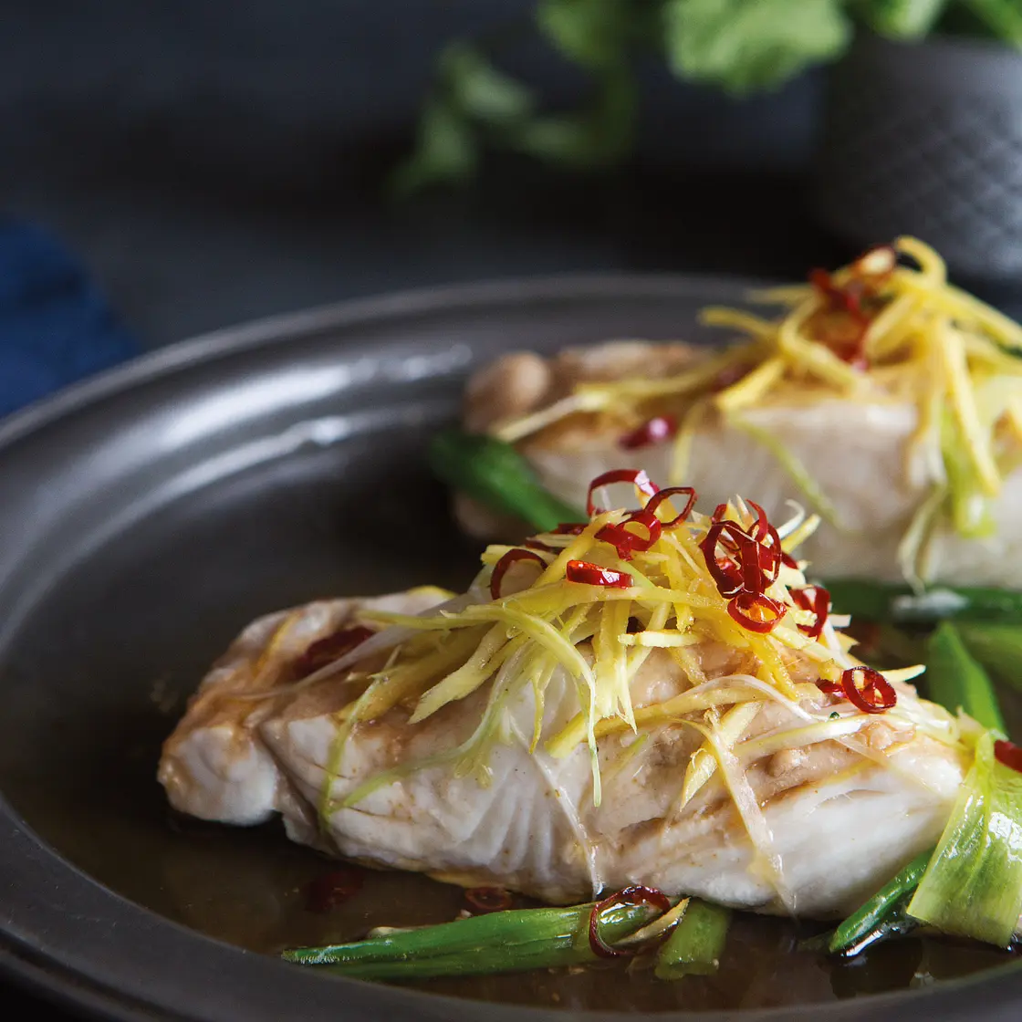 steamed halibut with sizzling chile-ginger oil