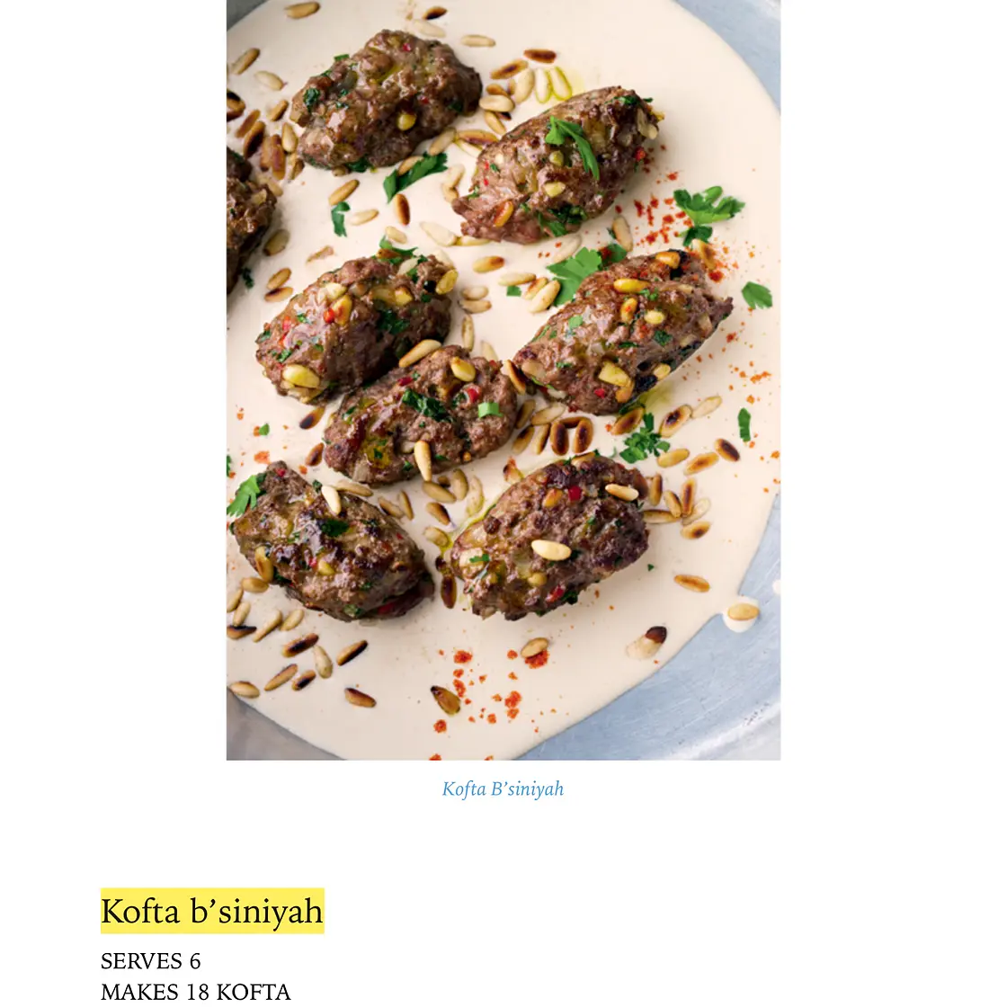 Kofta Bsyninyah