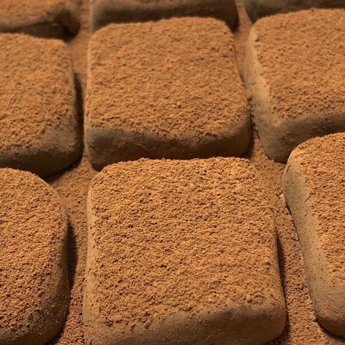 Two-Ingredient Chewy Chocolate Truffles