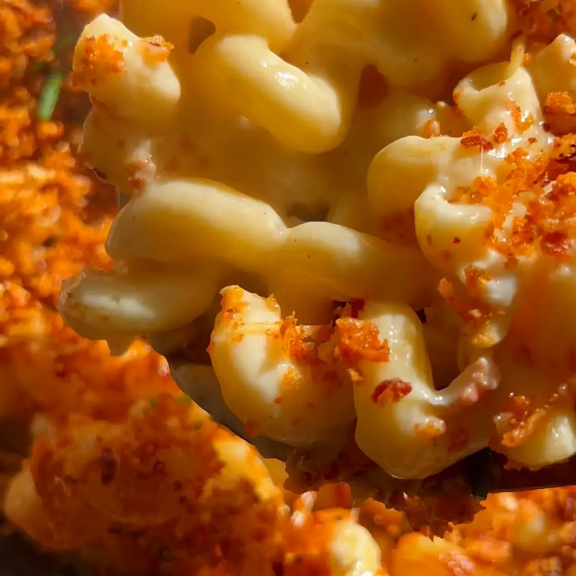 lobster mac & cheese