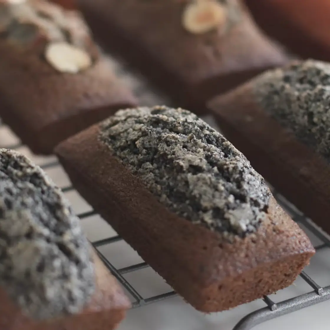 Black Sesame Financier
