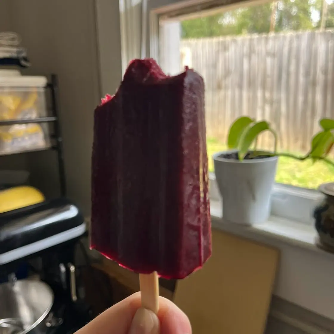 Mixed Berry Popsicle