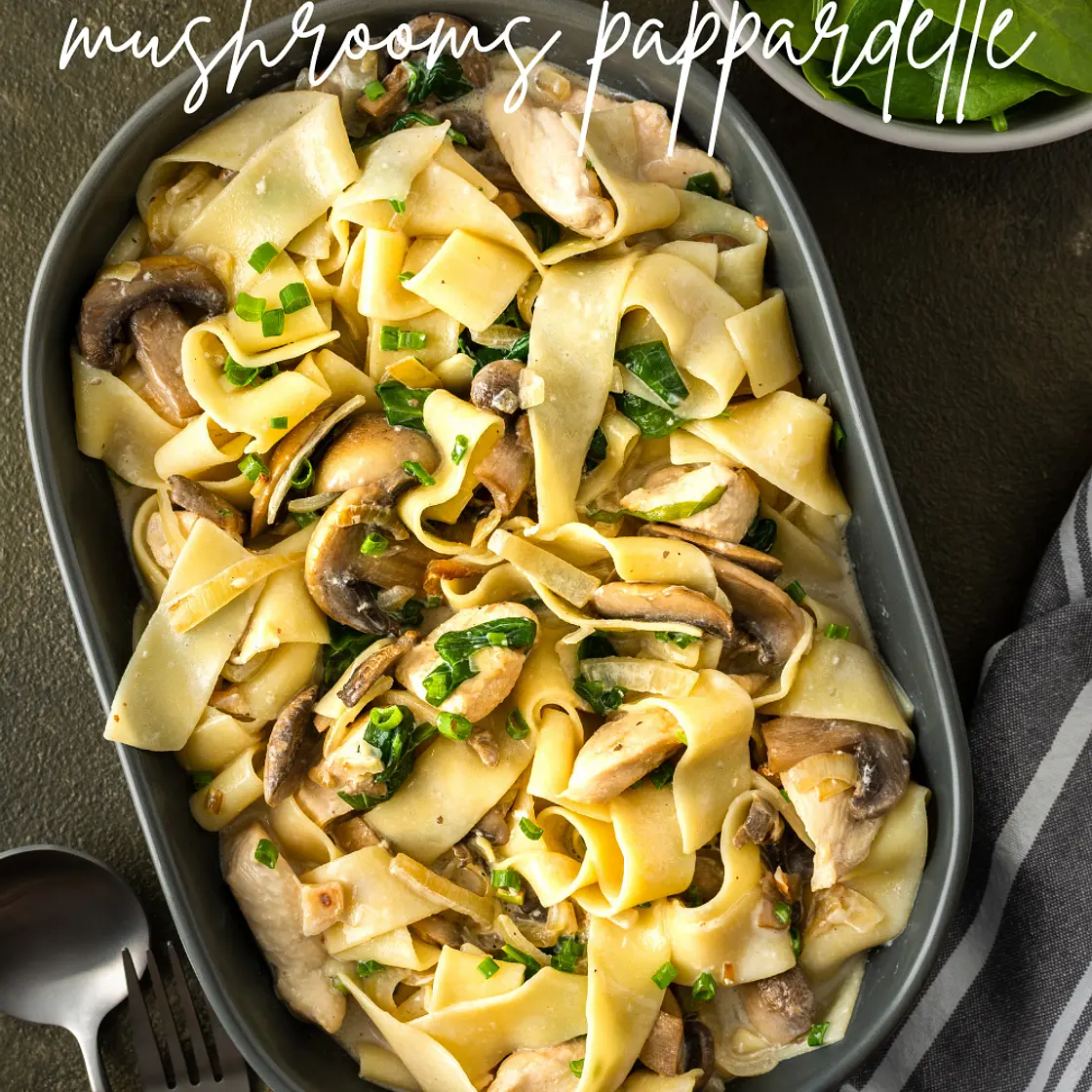 Creamy chicken and mushrooms pappardelle