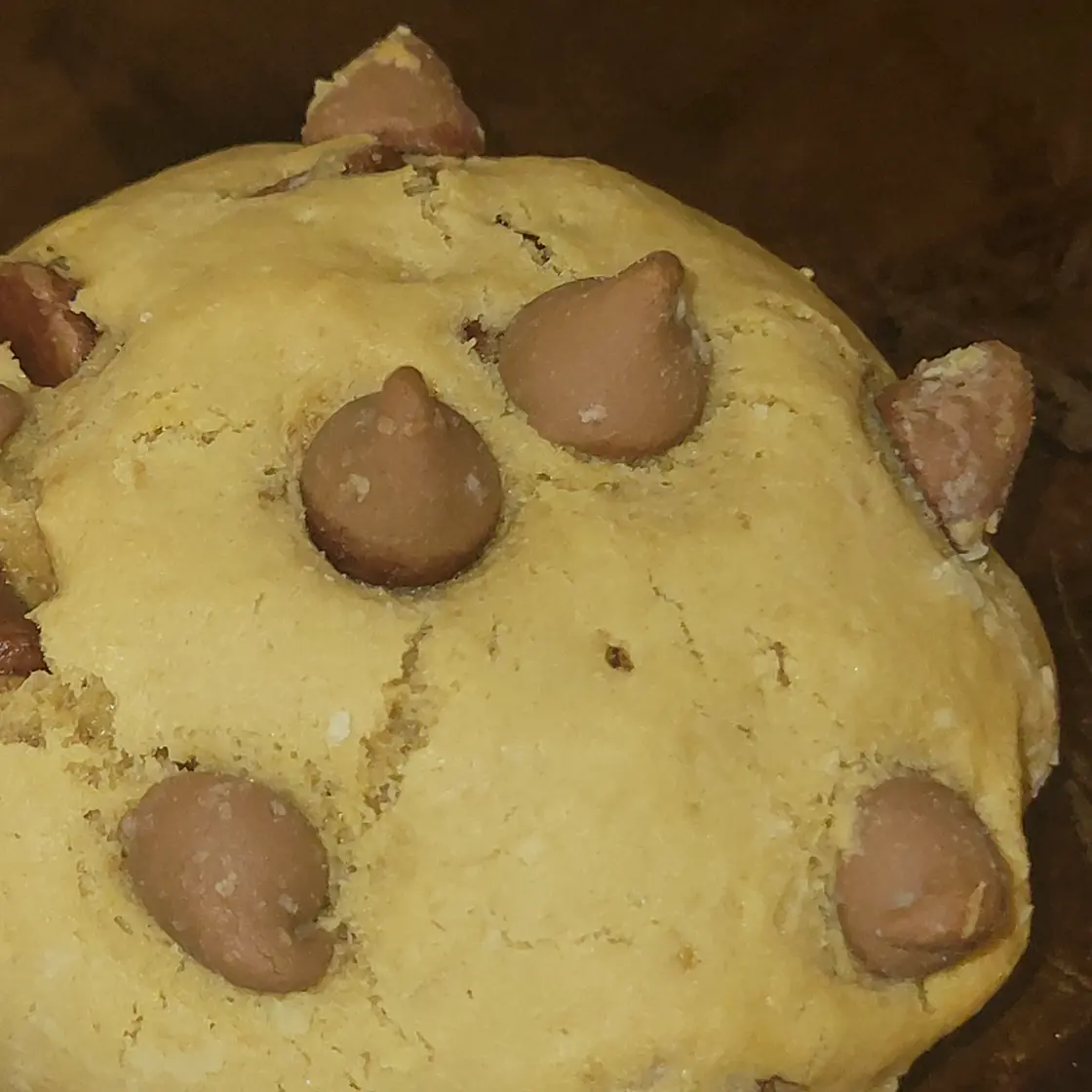 Small Batch Chocolate Chip Cookies