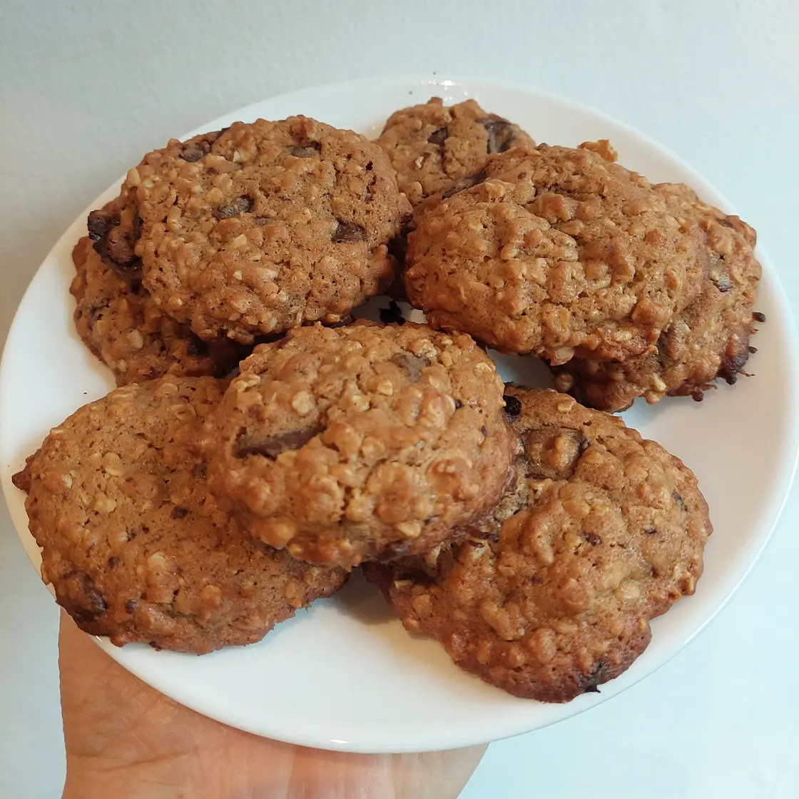Single Serve Oatmeal Chocolate Chip Cookie
