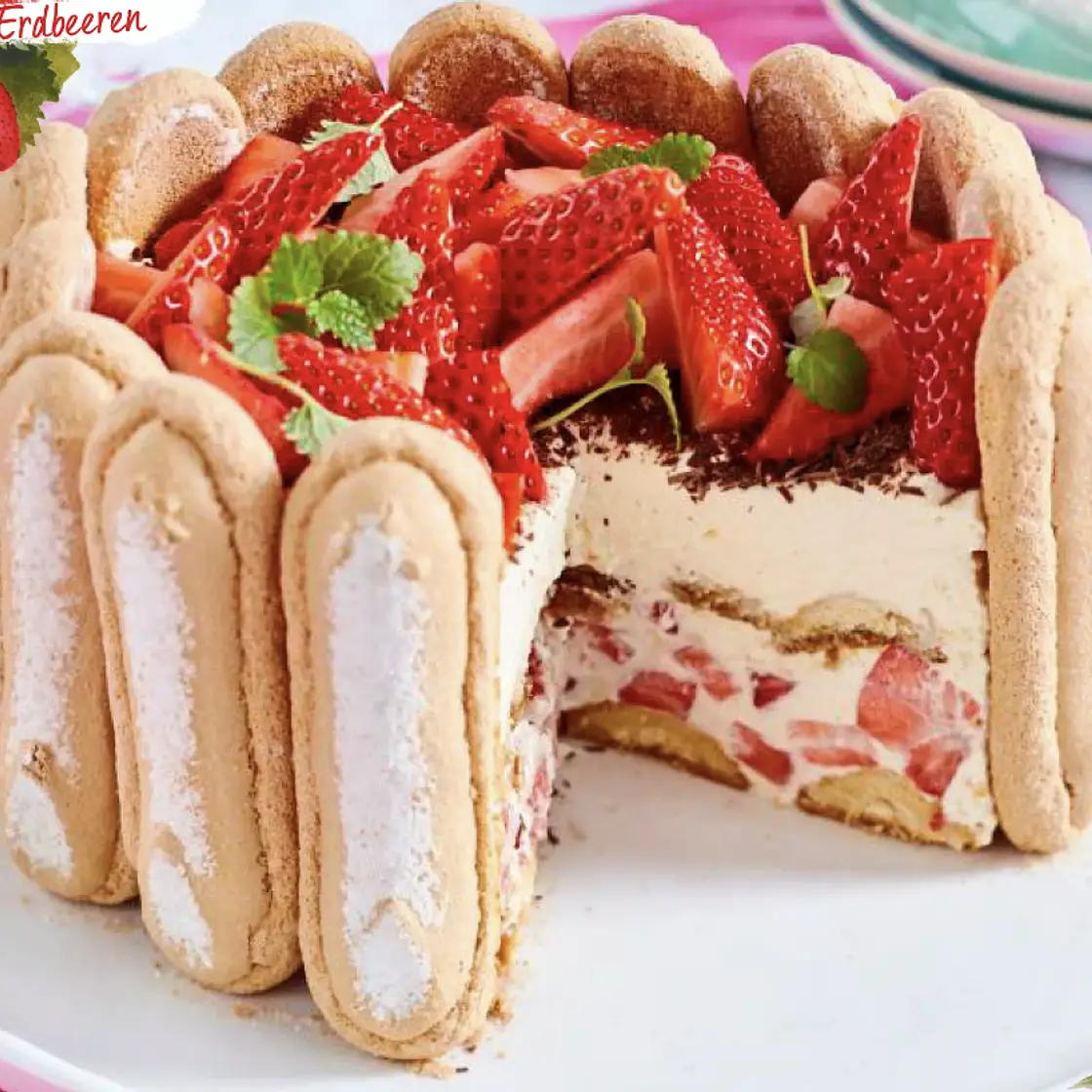 Tiramisu-Charlotte