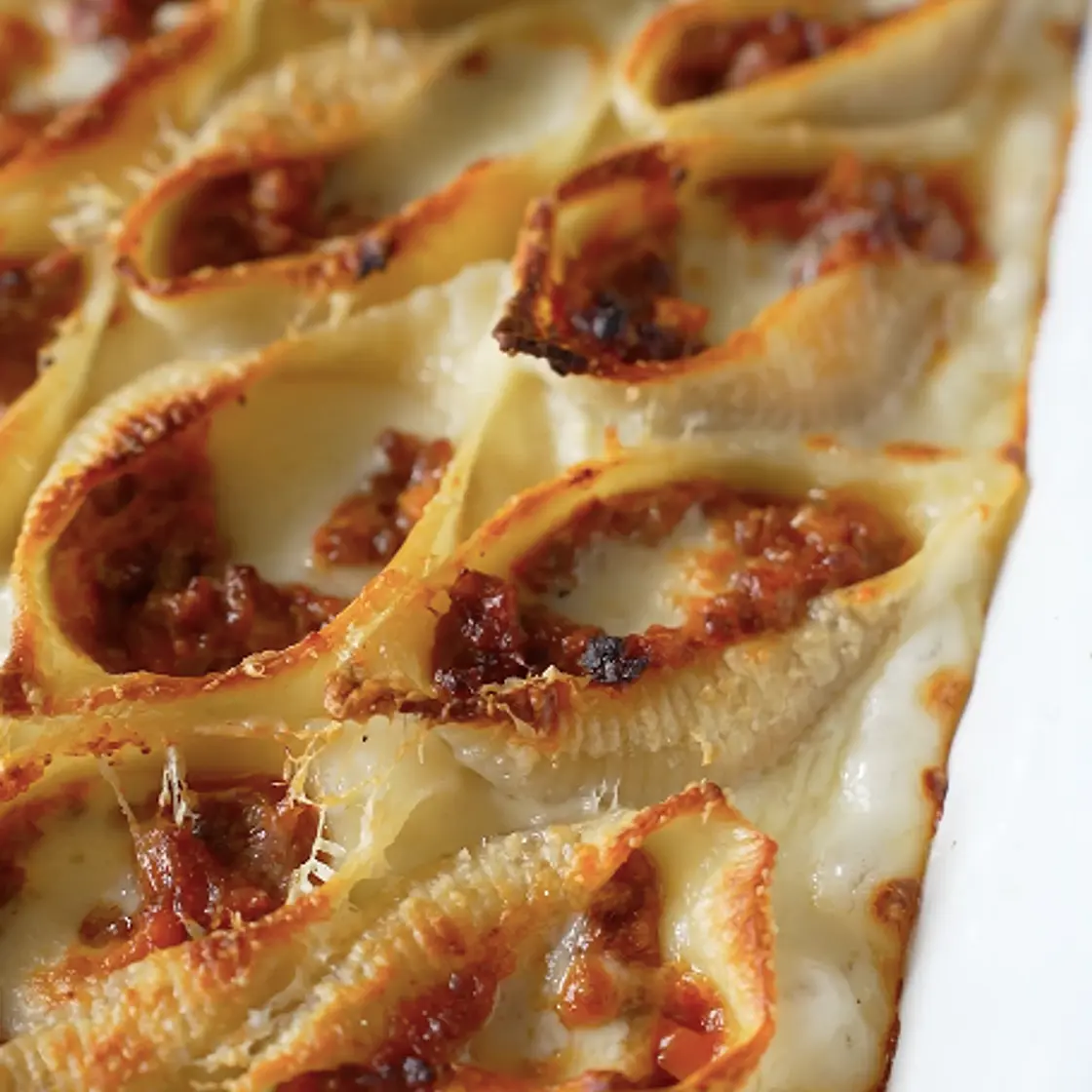 Baked conchiglioni pasta with bolognese