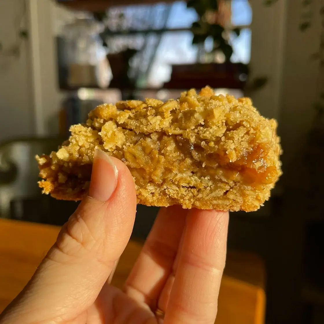 Apple Butter Oatmeal Bars