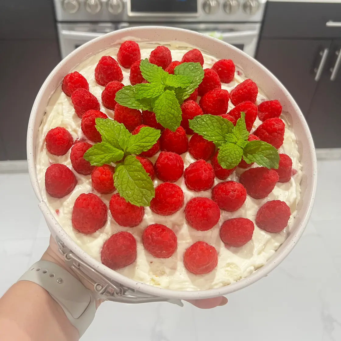 Raspberry and White Chocolate No Bake Cheesecake