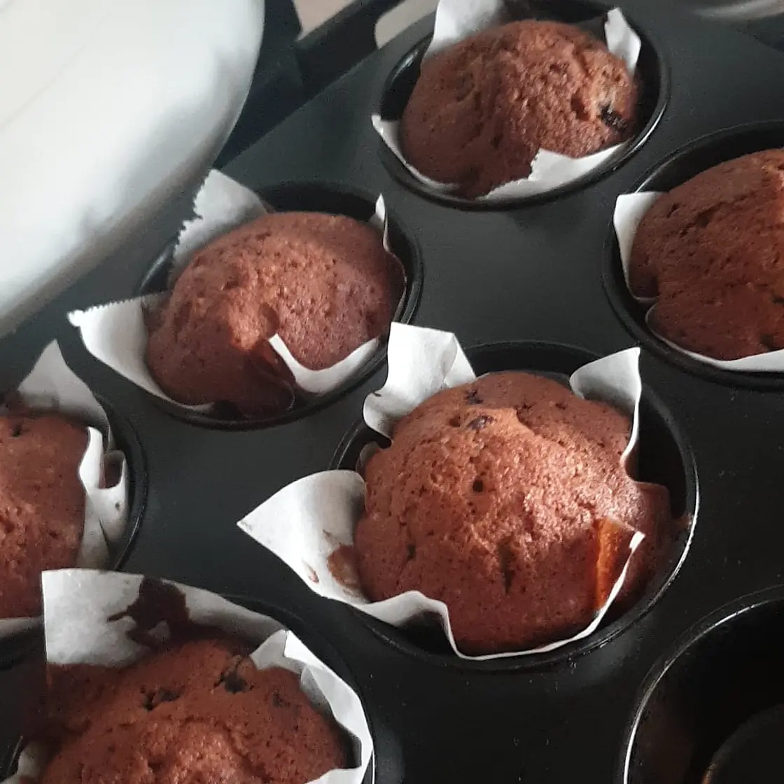 Jordan Marsh’s Blueberry Muffins