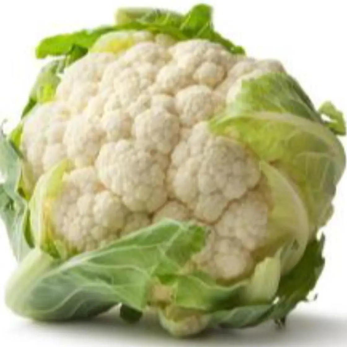 ~Cauliflower Raw / Protein Shake