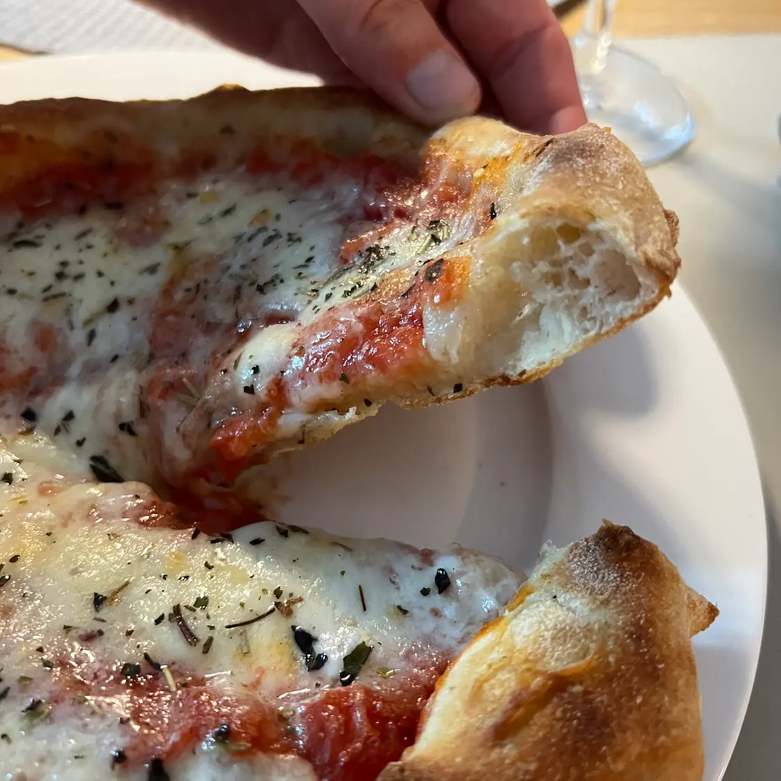 Sourfaux Pizza Dough (uses yeast)