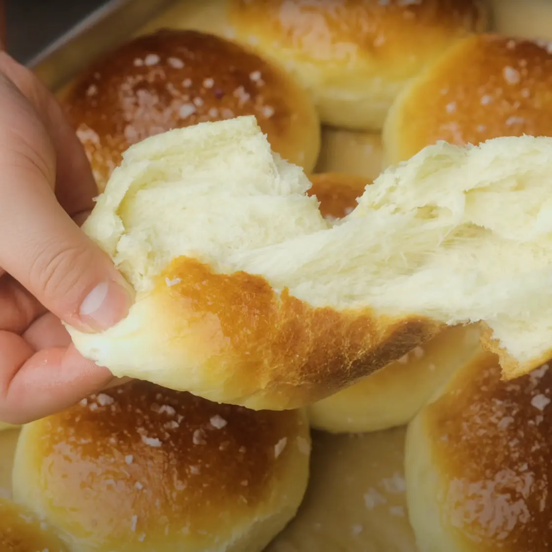 Soft Potatoes Burger Bus