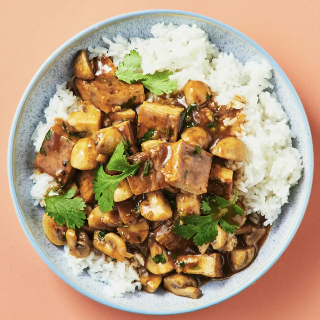 Mapo tofu